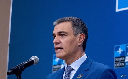 Spain PM At NATO Summit Rejects "Double Standards" On Gaza