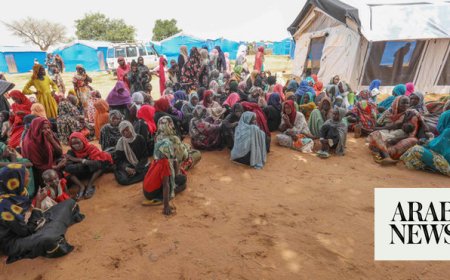 Aid workers ‘cannot access’ many areas of war-battered Sudan: Red Cross