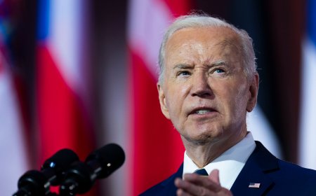 Biden Tries to Silence Democratic Doubters With Attacks on ‘Elites’