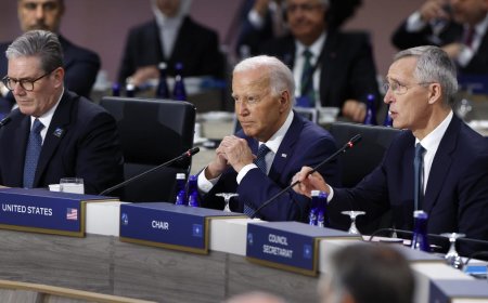 NATO nations agree Ukraine is on "irreversible path" to membership