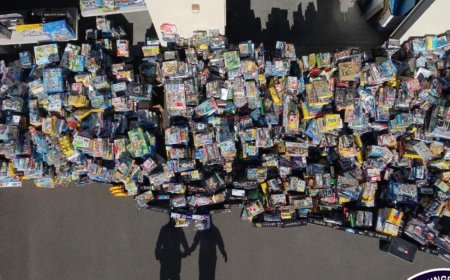 Police track down more than $200,000 in stolen Lego
