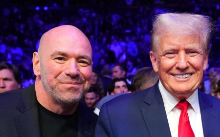 UFC's Dana White to precede Donald Trump's nomination acceptance at Republican National Convention: report