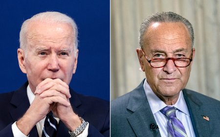 Schumer reaffirms support for Biden in wake of report he’s open to president’s ouster as 2024 nominee