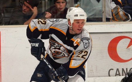 Former NHL player's family says he had CTE when he died by suicide