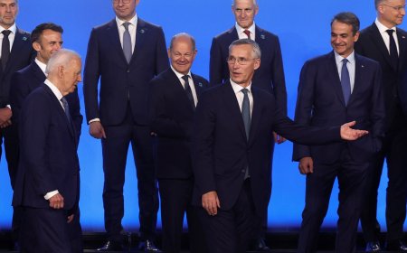 What has NATO promised Ukraine – and did Gaza figure in summit talks?