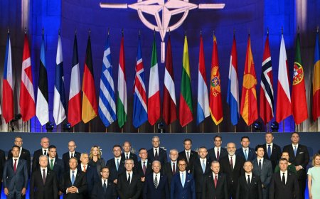 How much is each NATO country spending on its military in 2024?