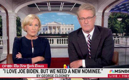 Biden campaign believes Obama is orchestrating calls for him to get out: MSNBC