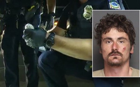 Video shows police bust Ohio man with hamsters inside his leopard print onesie