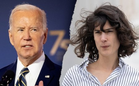 House Democrat suggests Biden should resign, says presidency 'must come to an end'