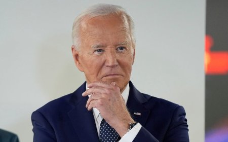 'Underdog' Biden still has time to turn campaign around before the election, Democrat strategists say
