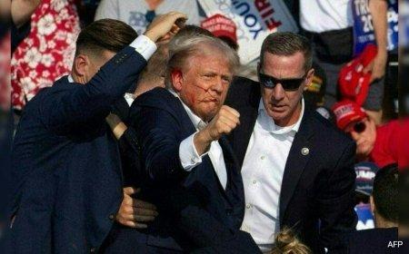 Trump Rally Shooting Changes Biden's Plan To Revive Presidential Campaign