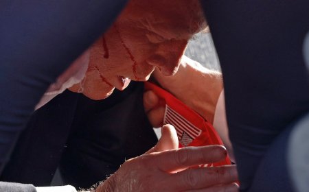 Shooter's perch at Trump rally an 'obvious threat,' rooftop was a 'no-brainer' to secure: expert