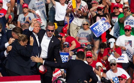 Trump attempted assassination: What we know about how it unfolded
