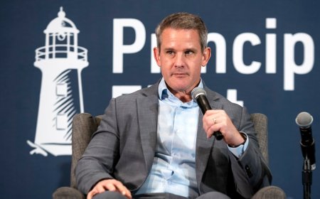Kinzinger says JD Vance's response to shooting should 'disqualify' him from VP consideration