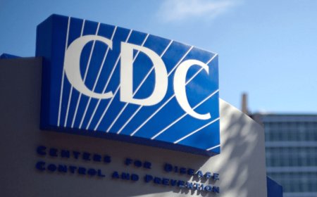 Four new bird flu cases confirmed in poultry workers