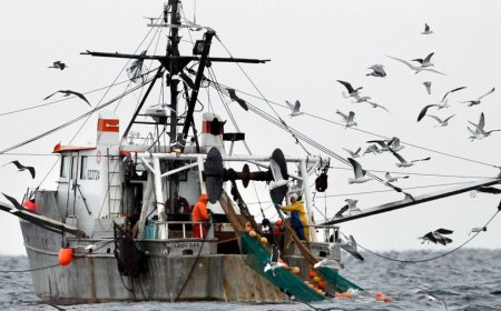 The end of Chevron deference is no game-changer. Here's why.