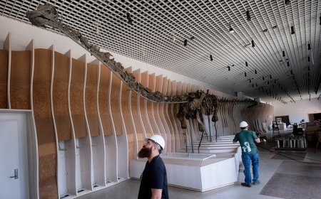 Newly discovered dinosaur species is only green fossil ever found, to be displayed in LA