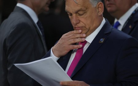 Orban’s ‘peacemaking’ mission: Did Hungary’s leader achieve anything?
