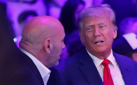 1 thing about Trump is now 'undebatable' after assassination attempt, UFC's Dana White says