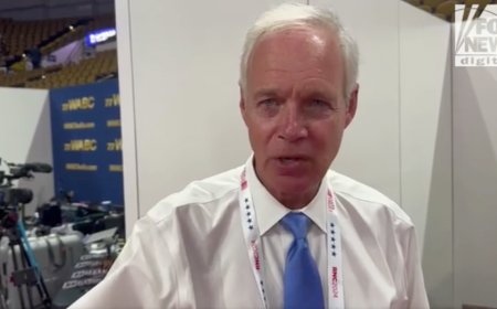 Vance’s past anti-Trump comments could sway on-the-fence Americans to vote red: Sen. Johnson