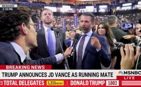 Donald Trump Jr. spars with MSNBC reporter on convention floor: 'I expect nothing less from you clowns'