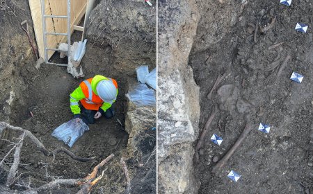 Archaeologists unearth 24 skeletons on hotel property dating back to 7th century