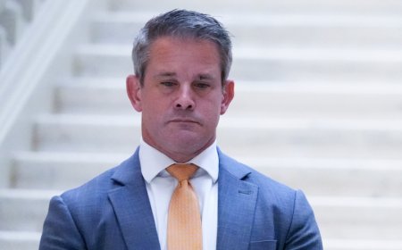 Kinzinger: Moscow 'celebrating' Vance pick as Trump VP