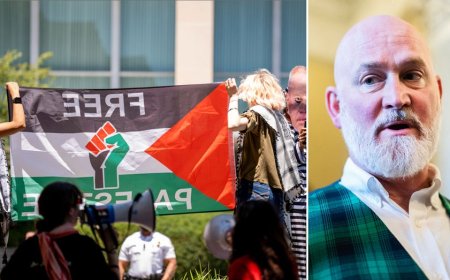 GOP rep says he was assaulted by protester at Republican National Convention; CODEPINK slams 'misogyny'