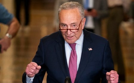 Schumer pressed Biden on candidacy: Reports