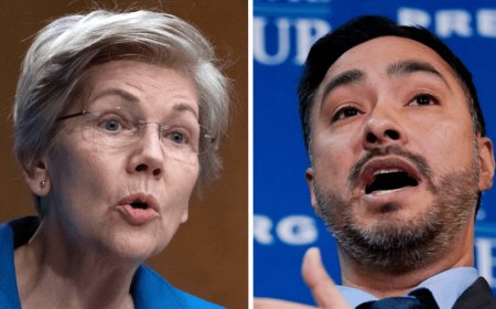Warren, Castro, push Biden to scrutinize gun exports to foreign governments