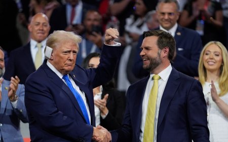 Why did Republican Donald Trump choose JD Vance as his vice president?