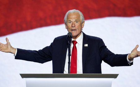 Former Trump adviser Peter Navarro, hours after release from prison, appears at RNC: 'I am your wake-up call'