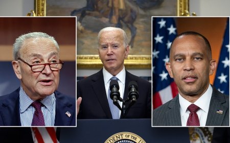 Schumer 'forcefully' told Biden he should drop his re-election bid: Report