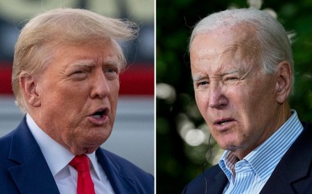 GOP lawmaker rips Biden's 'weak' foreign policy record in preview of RNC speeches: 'Global laughingstock'