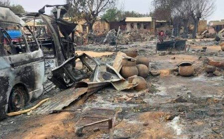 Global community needs to do more to end RSF atrocities in Sudan