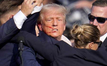 Trump shooter’s search history: What we know