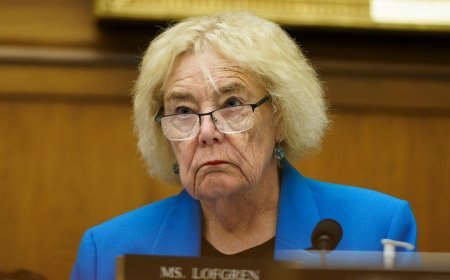 Senior Democrat suggests Obama, Clinton host ‘mini primary’ vetting