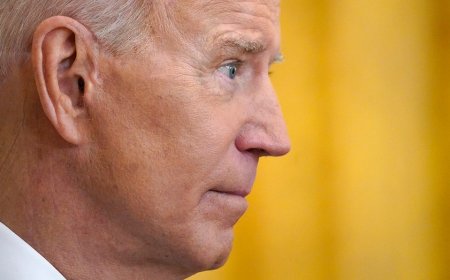 National Review editorial board calls on Biden to resign immediately in scathing piece: 'Next logical step'
