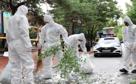 North Korean trash balloon lands on South Korea’s presidential compound