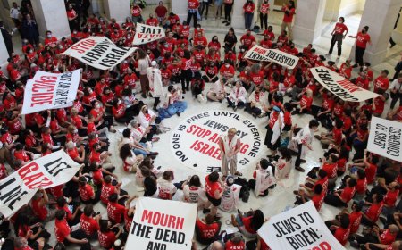 US Capitol Police arrest Jewish activists calling for Israel arms embargo