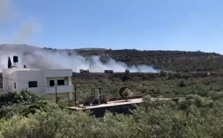 Israeli settlers set fire to olive groves in the occupied West Bank