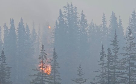 Thousands flee wildfires near Canada’s Jasper National Park