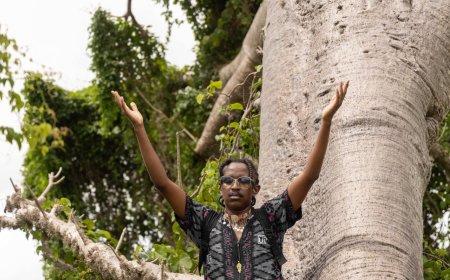 The Tree Whisperer: A Kenyan artist celebrates his love of the Baobab