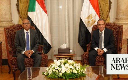 Egypt reiterates unwavering support for stability and security in war-torn Sudan