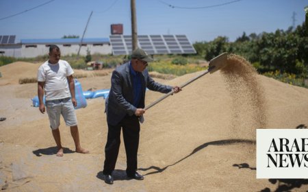 Climate change imperils drought-stricken Morocco’s cereal farmers and its food supply