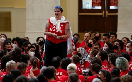 Protesters arrested in congressional building ahead of Netanyahu address