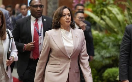 Harris bid for Oval Office puts spotlight on foreign policy track record