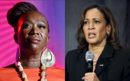 MSNBC's Joy Reid says Black people will look 'real weird' if they don't vote for Kamala Harris