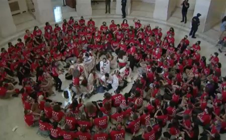 Anti-Israel agitators invade Capitol Hill building on eve of Netanyahu address