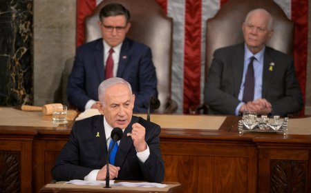 Netanyahu’s address to Congress ‘highlights Democratic divisions’